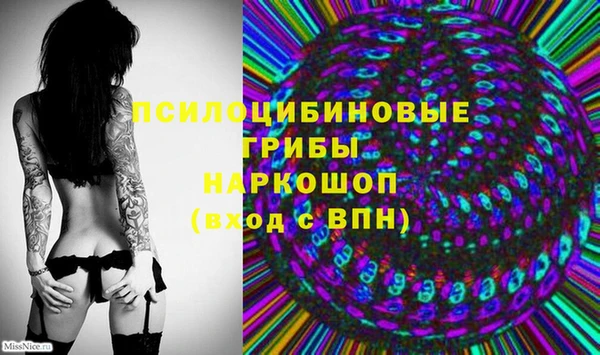 Альфа ПВП Абдулино