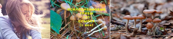 мяу мяу кристалл Абинск