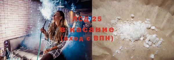 PSILOCYBIN Медвежьегорск